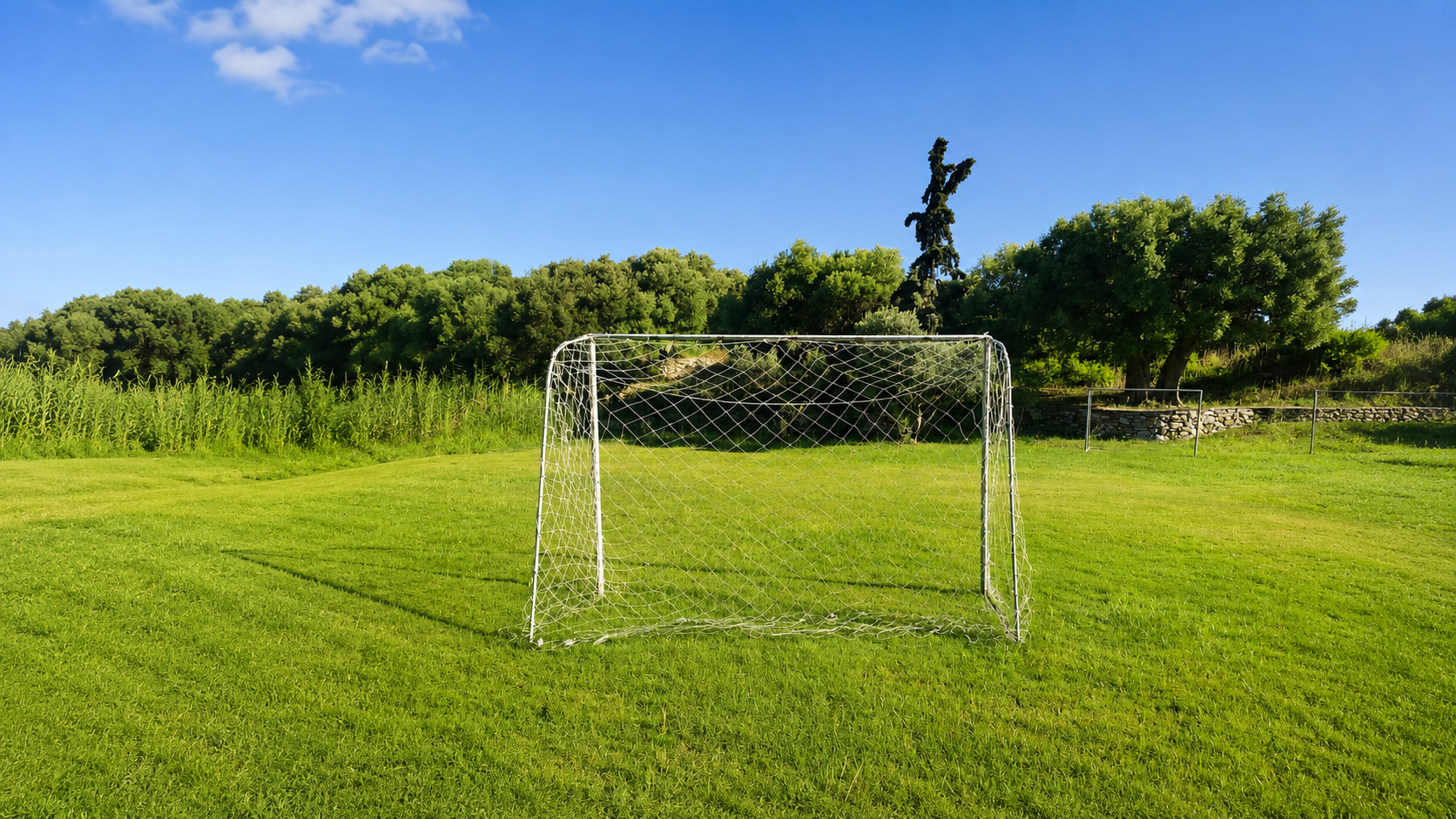 Expansive lawn and outdoor play area